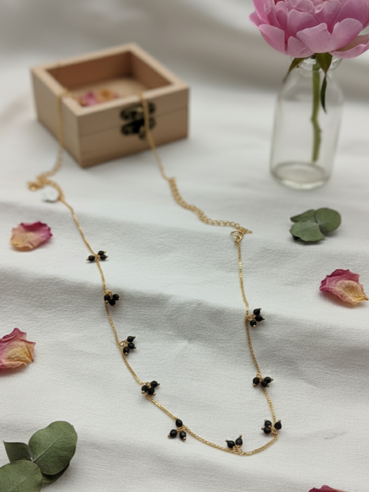 Midnight Dew | PV1010